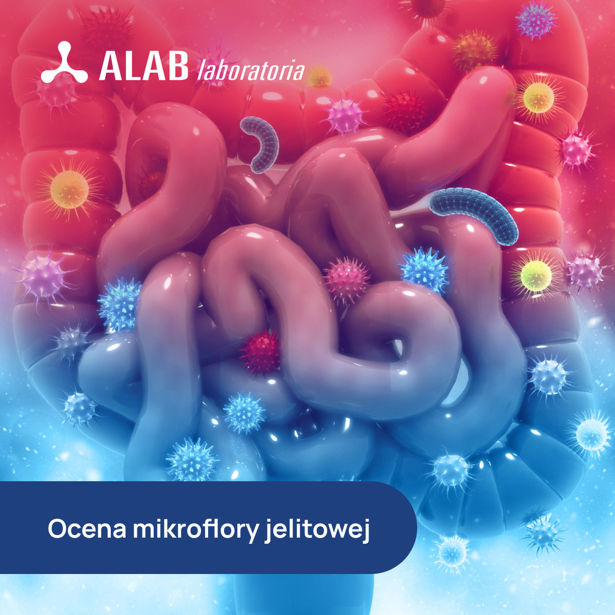 Ocena mikroflory jelitowej