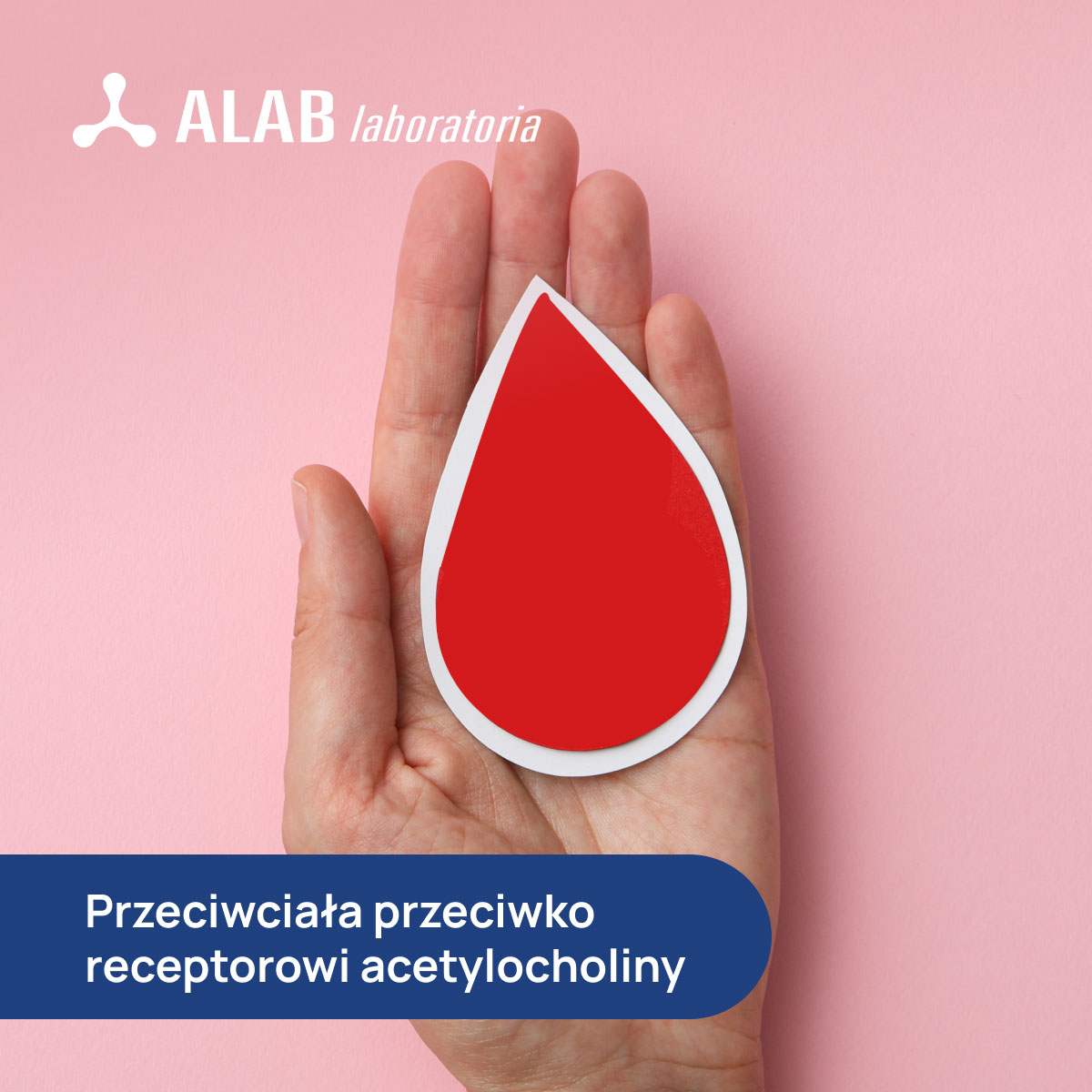 Przeciwciała przeciwko receptorowi acetylocholiny